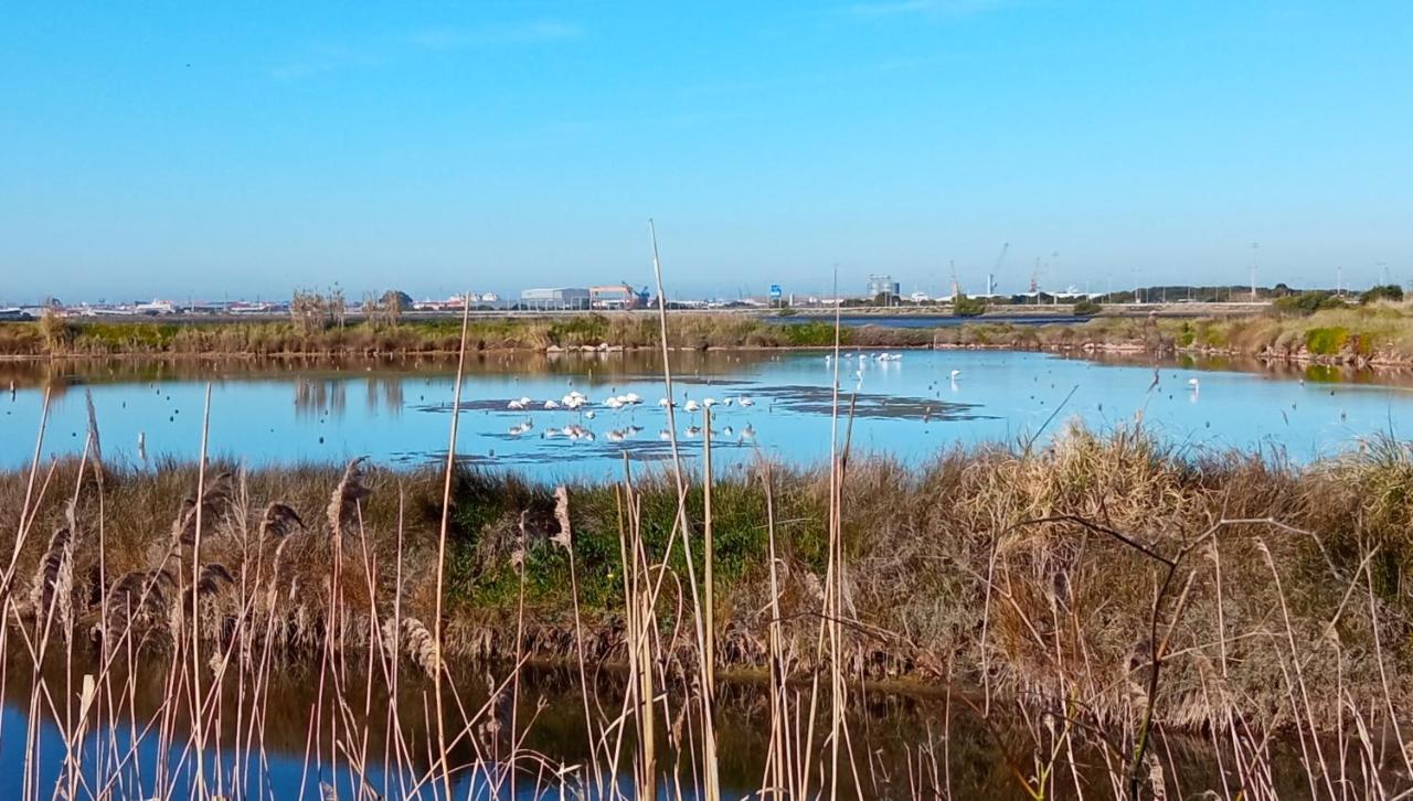 Aveiro, Ria E Arte Daire Dış mekan fotoğraf